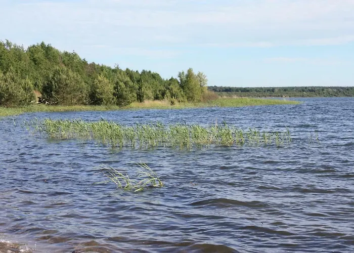 Heideblick * Grafenhainichen